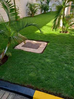 AFFORDABLE AND LOW MAINTENANCE LANDSCAPING SERVICES image 4