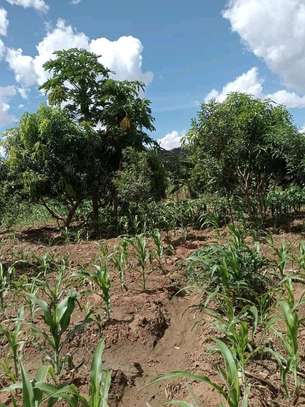 1200 acres of agricultural land along river makueni county image 2