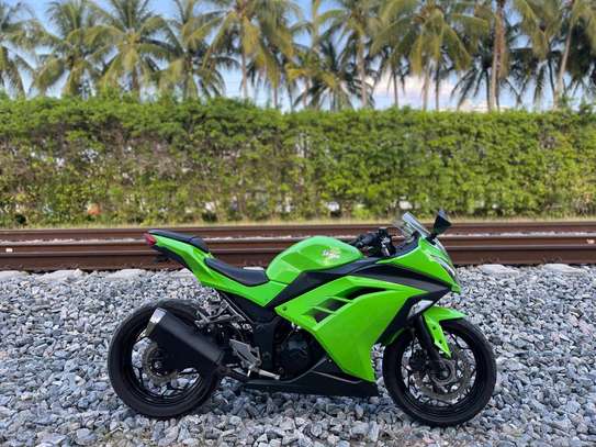 2015 Kawasaki Ninja 300 image 1