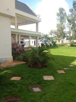 7 Bed House with En Suite in Karen image 4