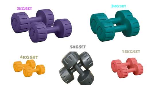 TWO PIECES DUMBBELL GYMWEIGHT VINYL SHAPE image 1