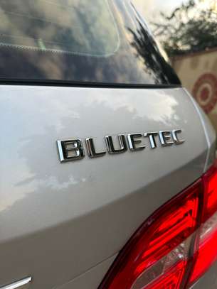 2016 Mercedes-Benz ML250 Bluetec image 9