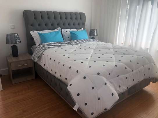 Serviced 2 Bed Apartment with En Suite at Rhapta Road image 14