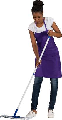Cleaning Services in Mountain View/ Riverside/ Ridgeways image 2