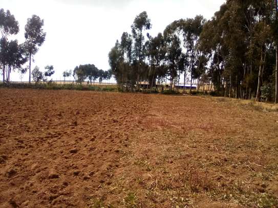 41 Acres of Land For Sale in Timau image 3