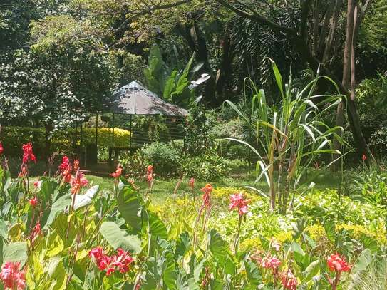 5 Bedroom Office Space for Rent in Lavington Nairobi Kenya image 2