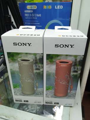 Sony SRS-XB23 EXTRA BASS Wireless Bluetooth Portable image 1