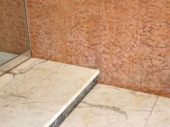 8 Bed Villa in Lavington image 37