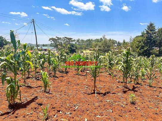 0.1 ha Land at Gikambura image 7