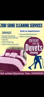 Zuri shine cleaning services image 2