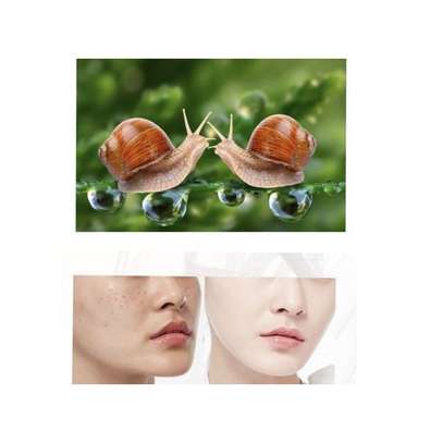 Disaar Snail & Vitamin C & Jojoba Oil Skin Body Face Cream image 3