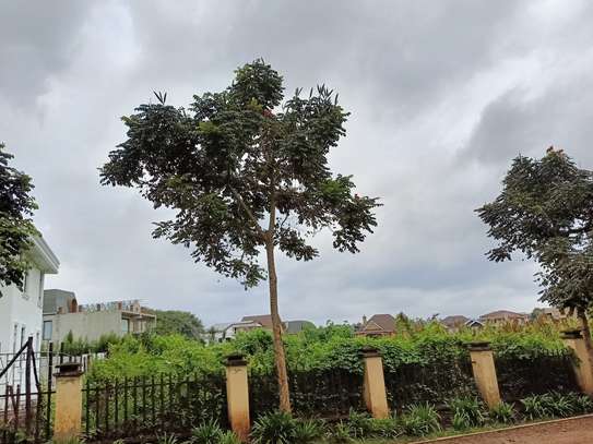 Residential Land at Migaa image 15