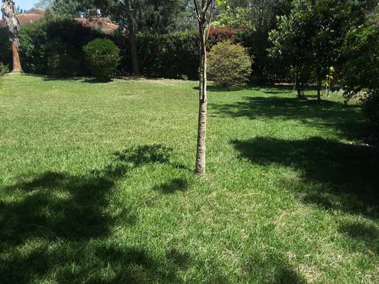 Lovely 5 BR House plus Dsqs in Karen on One Acre Land image 12