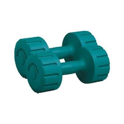 TWO PIECES DUMBBELL GYMWEIGHT VINYL SHAPE image 4
