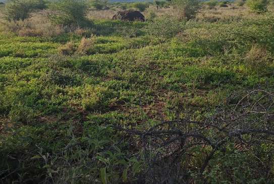 270 Acres Block in Kajiado Is Available For Quick Sale image 3
