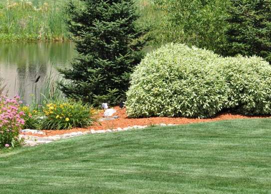 Lawn Mowing And Garden Services | Request your free, no-obligation grass cutting quotation now image 10
