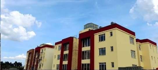 3 Bed Apartment with En Suite at Banana Raini Rd image 3