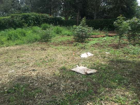 Lovely One Acre in Karen image 7