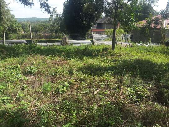 Stunning One Eighth Plots in Ongata Rongai image 14