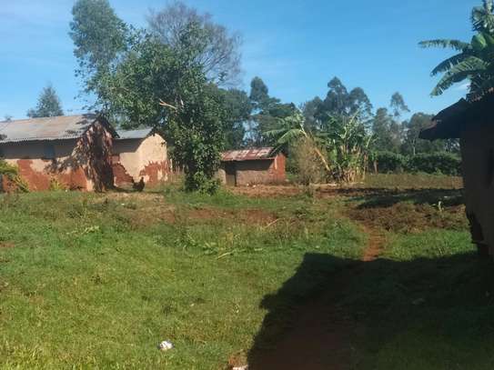 Spacious Rural Land Plot for Farming & Home image 1