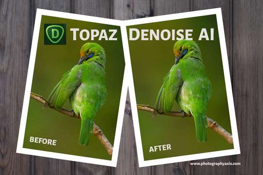 Topaz Denoise AI 3 image 3