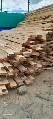 Bluegum timber for sale image 1