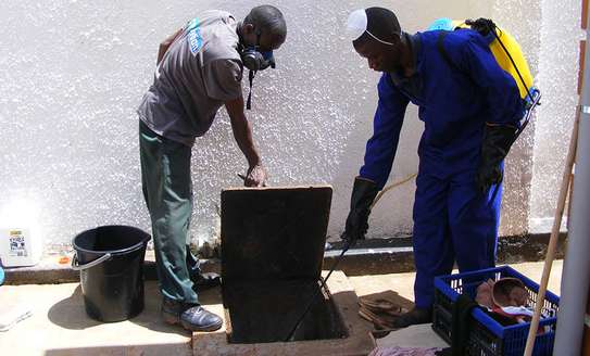 BED BUG Fumigation and Pest Control Services in Ngong road image 4