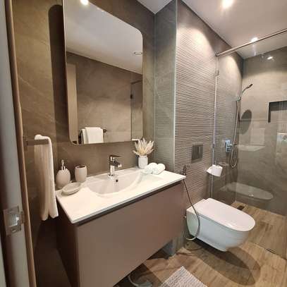 Furnished Studio Apartment with En Suite at Red Hill Road image 15