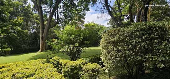 Land in Karen image 4