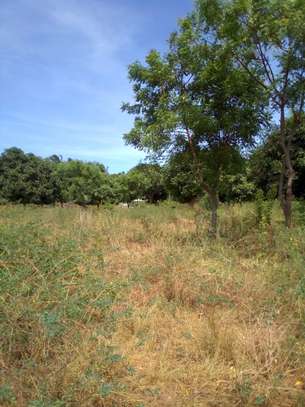 17 Acres in Malindi Gede Is Available For Sale image 3