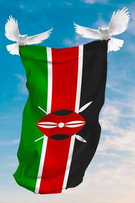 Kenya flag. image 3