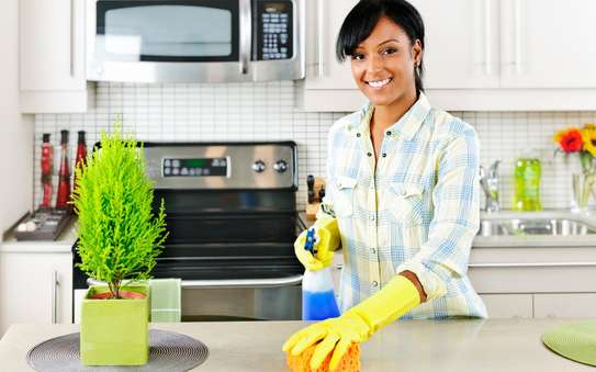 Best Domestic & Househelp in Nairobi & Kiambu & Thika image 4