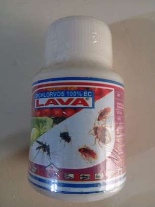 Original lava insecticide image 2