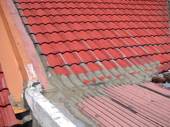 Professional Roofing Specialists-Roof Repair,Gutter,Roof Coating,Waterproofing & Renovation.Free Quote. image 10