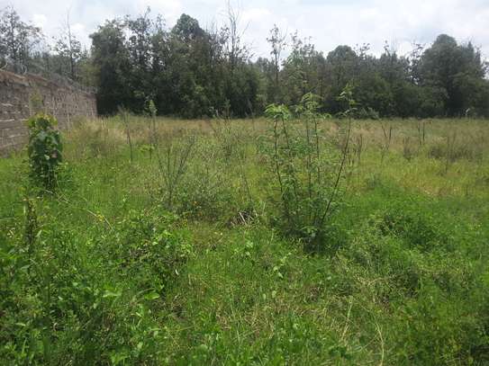 Lovely One Acre in Karen image 4