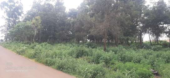 Land in Redhill image 26