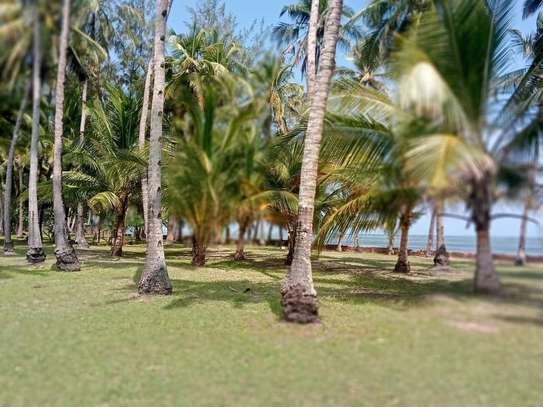 2 ac Land at Sunnsand Resort image 2