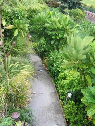 Landscaping & gardening services in Nairobi Kenya image 5