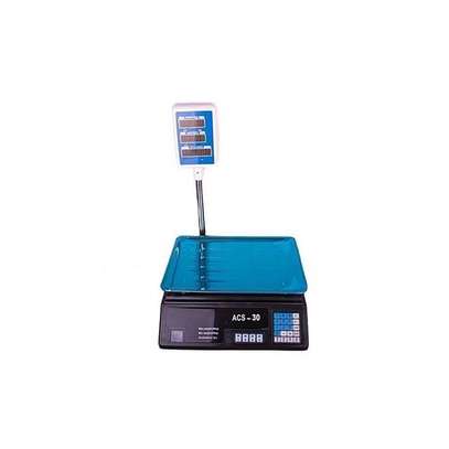 ACS 30 Price Computing Weighing Scale image 2