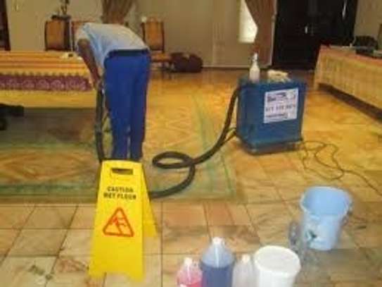 Carpet and Sofa Cleaning image 1