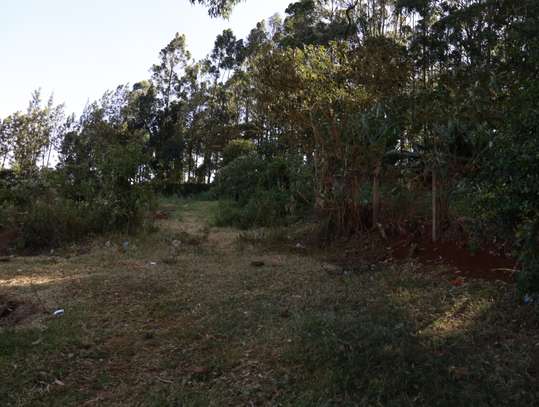 0.125 ac Commercial Land at Near Uon image 7