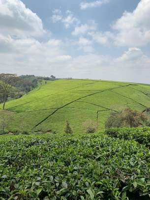 20 ac Land at Riara Ridge image 10