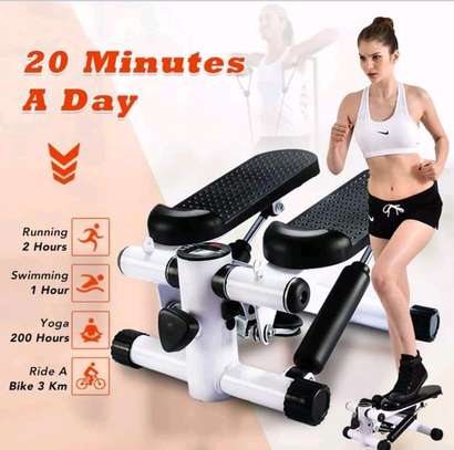 Mini stepper exercise machine* image 1