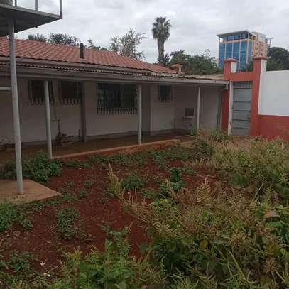 4 bedroom+ 3 dsq in thika section 9 image 10