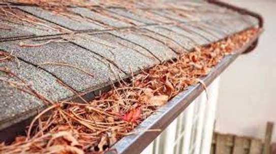 Best Gutter Cleaning and Repair Professionals.Get A Free Quote Today image 2