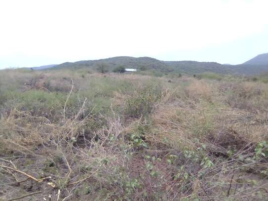 One Acre Of Land For Sale in Tinga / Oletepesi image 4