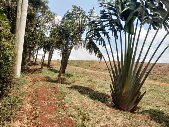 Residential Land at Fronting Limuru Road image 9