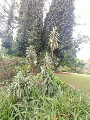 1 ac Land in Lavington image 5