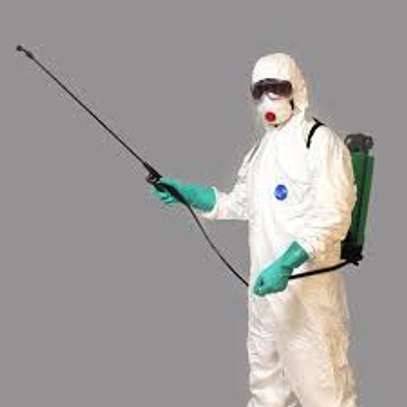 Fumigation and Pest Control Services Upper Hill image 1