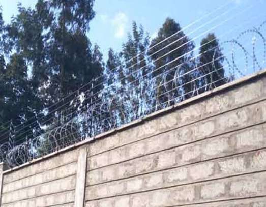 450 mm Double Galvanized Razor Wire Supplier in Kenya image 11